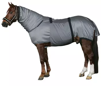 Horse Guard Eksemdekken