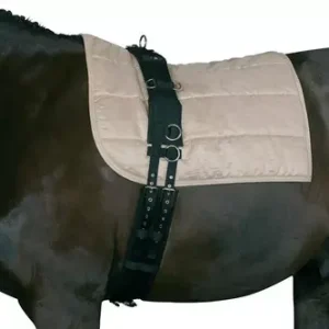 TH Cheval Longegjord web