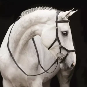 Rambo Micklem Competition Bridle