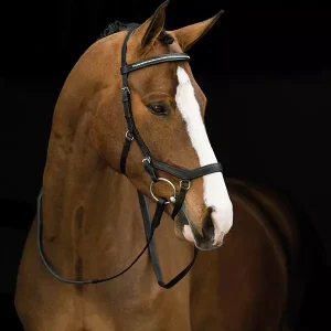 Rambo Micklem Diamante Competition Hodelag