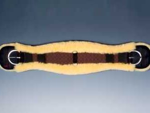 Christ Anatomic Western Cinch Gjord