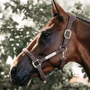 Kentucky anatomisk semsket lærgrime