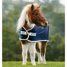 Amigo Petite Jersey Cooler