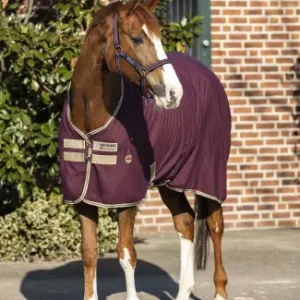Amigo Stable Sheet X Sur Poly