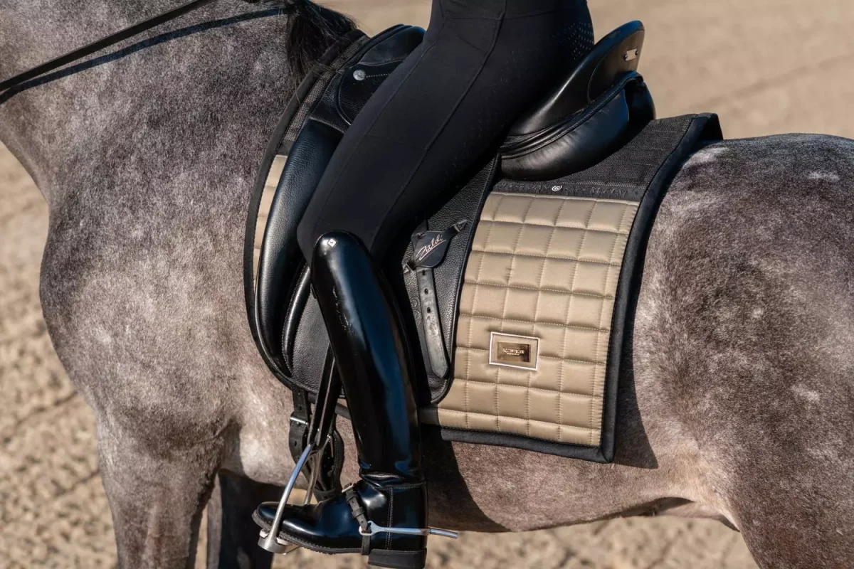 Equestrian Stockholm Schabrack Sportive Chantelle – Dressur
