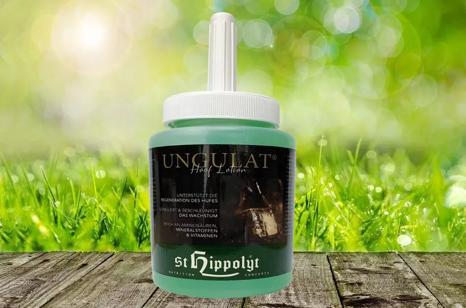St Hippolyt Ungulat Hoof Lotion 450ml - Image 2