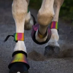 Heimer Beinrefleks Rainbow med spenne