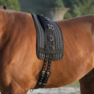 Covalliero Longeringsgjord med 9 ringer