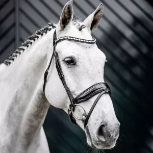 Horseware Diamante Flash Hodelag