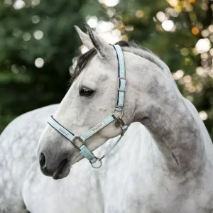 Horseware Field Safe Blue Haze – beitesikker grime